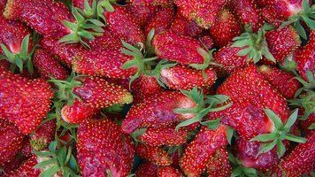 Земклуніка Купчіха 87573 фото